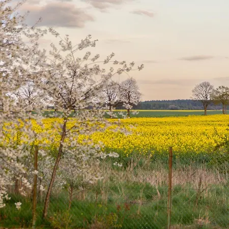 Dom wakacyjny Bay House Puck